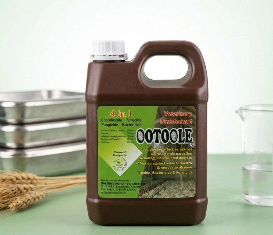 OOTOOLE
